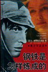 钢铁是怎样炼成的 (漓江出版社 2005)