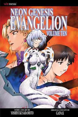 Neon Genesis Evangelion, Vol. 10