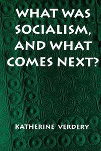 What Was Socialism, and What Comes Next? (Princeton University Press 1996)