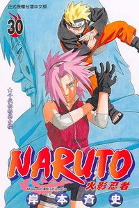 火影忍者30 (东立出版社有限公司 2005)