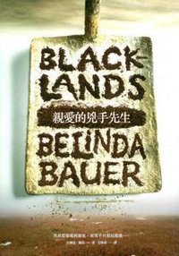 親愛的兇手先生