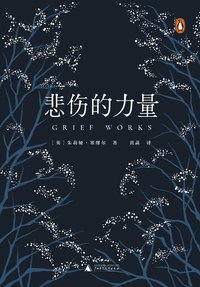 悲伤的力量 (广西师范大学出版社 2018)