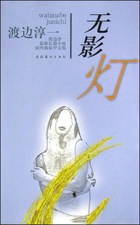 无影灯 (文化艺术出版社 2004)
