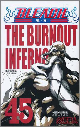 BLEACH 境·界45