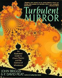 Turbulent Mirror (Harper Perennial 1990)