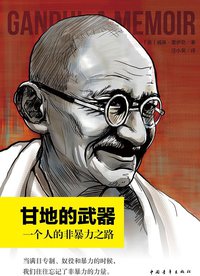 甘地的武器 (中国青年出版社 2012)