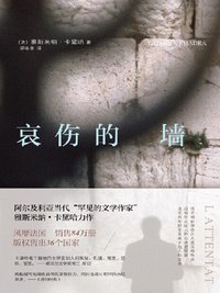 哀伤的墙 (上海三联书店 2016)