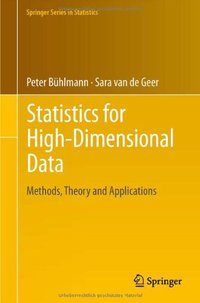 Statistics for High-Dimensional Data (Springer 2011)