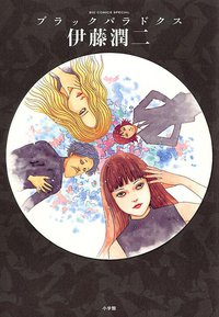 ブラックパラドクス (小学館 2009)