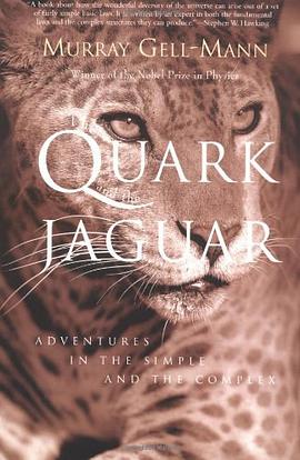 The Quark and the Jaguar