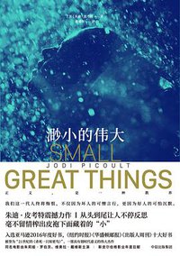 渺小的伟大 (中信出版社 2018)
