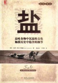 盐 (机械工业出版社 2005)
