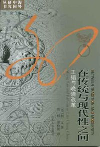 在传统与现代性之间 (江苏人民出版社 2006)
