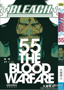BLEACH 境·界55