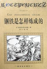 钢铁是怎样炼成的 (新世纪出版社 1998)