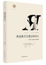 我是被天空遗忘的诗人