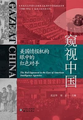 窥视中国