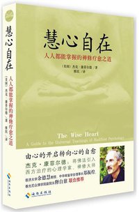 慧心自在 (海南出版社 2011)