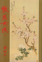 散花女俠（二冊） (天地图书有限公司 1995)