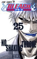 BLEACH―ブリーチ― 25