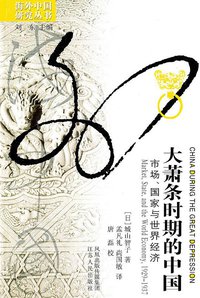 大萧条时期的中国 (江苏人民出版社 2010)