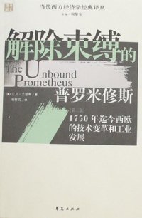 解除束缚的普罗米修斯 (华夏出版社 2007)