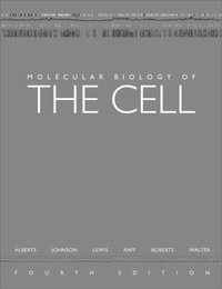 Molecular Biology of the Cell, Fourth Edition (Garland 2002)