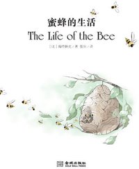 蜜蜂的生活