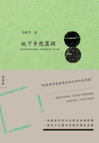 地下乡愁蓝调 (广西师范大学出版社 2015)