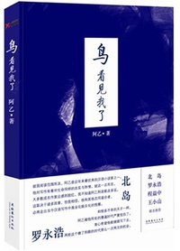 鸟看见我了 (百花洲文艺出版社 2011)