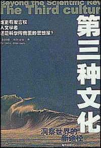 第三种文化 (海南出版社 2003)