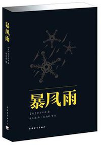 暴风雨 (中国青年出版社 2013)