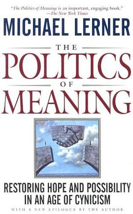 The Politics Of Meaning