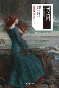 暴风雨 (译林出版社 2018)