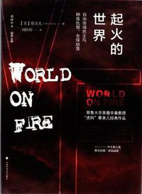 起火的世界（第二版） (中国政法大学出版社 2017)
