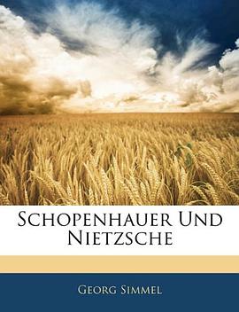 Schopenhauer Und Nietzsche