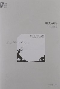 曙光示真 (河南文艺出版社 2012)