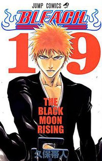 BLEACH―ブリーチ― 19 (集英社 2005)