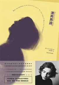 漂亮男孩 (雅众文化/北京联合出版公司 2018)