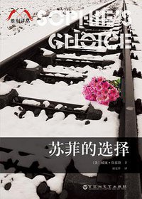 苏菲的选择 (百花洲文艺出版社 2015)