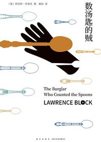 数汤匙的贼 (新星出版社 2018)
