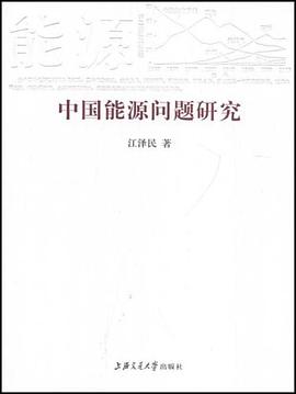 中国能源问题研究