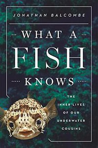 What a Fish Knows (Scientific American 2016)