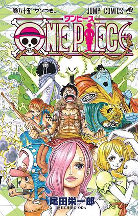 ONE PIECE 85