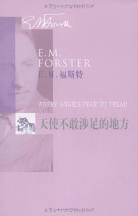 天使不敢涉足的地方 (人民文学出版社 2009)