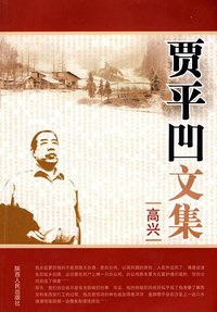 高兴 (陕西人民出版社 2008)