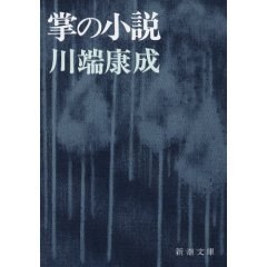 掌の小説