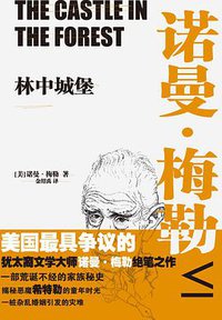 林中城堡 (江苏凤凰文艺出版社 2015)