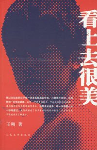 看上去很美 (人民文学出版社 2006)