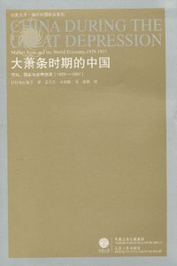 大萧条时期的中国 (江苏人民出版社 2010)